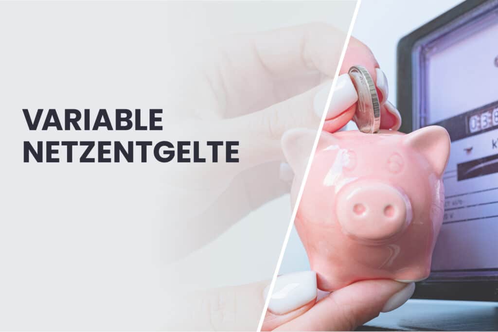 Banner mit der Aufschrift 'Variable Netzentgelte'. Rechts im Bild steckt eine Hand eine Münze in ein Sparschwein, im Hintergrund ist ein Stromzähler zu sehen.